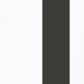 Белый / Антрацит